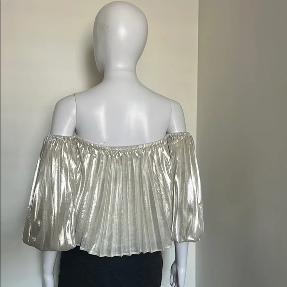 Express, Women’s Size M Metallic Pleated Elegant Off-Shoulder Ballon Top - Picture 5 of 7